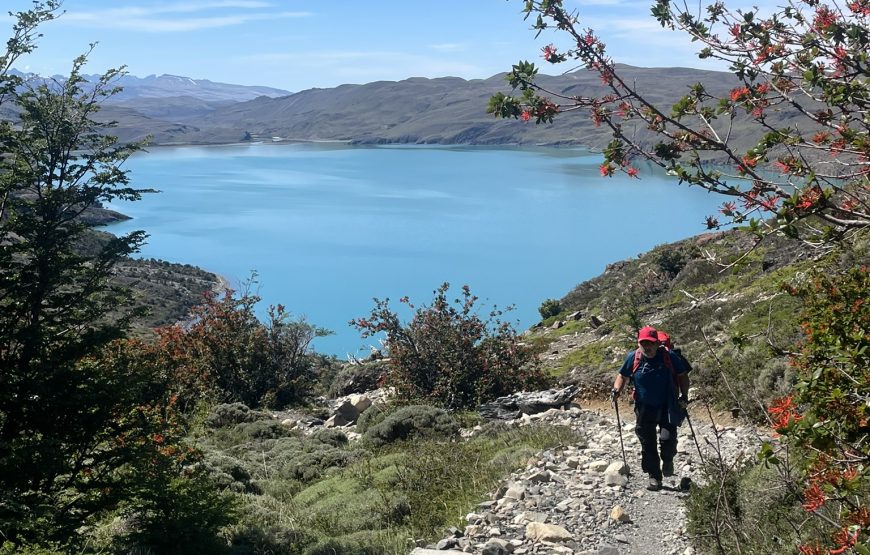 Guided W Trek 4 Days: Explore Torres del Paine Adventure