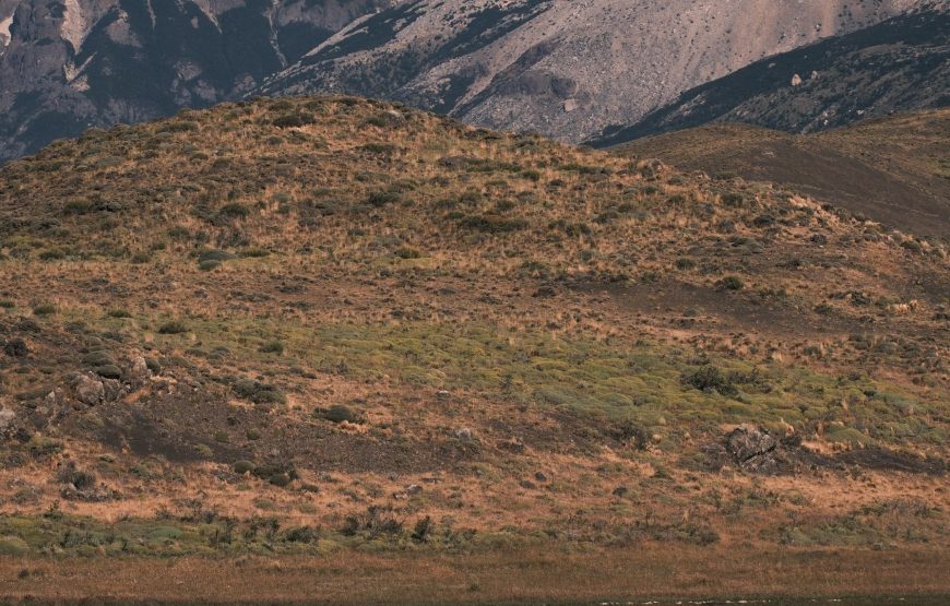 Guardians of the Southern Light: Chilean Patagonia Photography Tour